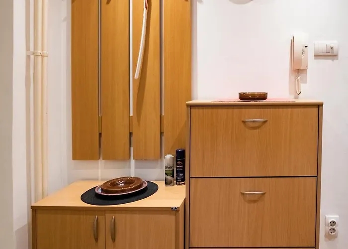 Echo Arena * 贝尔格莱德